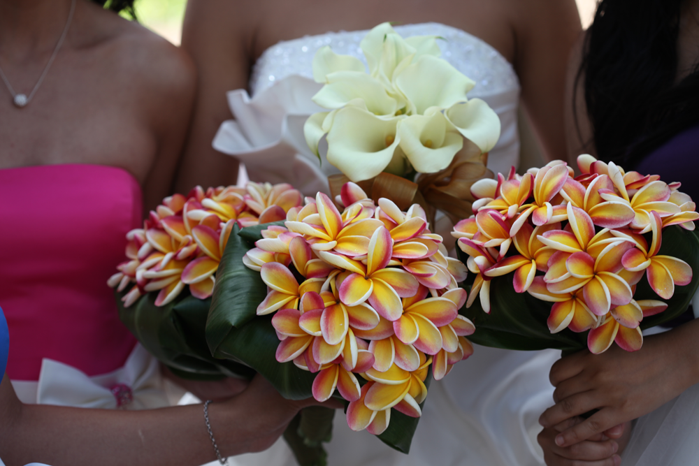 rainbow plumeria bouquet and white calla lilly Hawaiian style